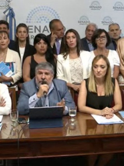 Senadores de UxP piden una sesión especial por el DNU de Milei