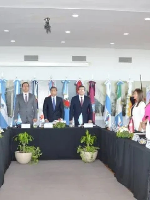 Vicegobernadores del Norte Grande se reunieron con la atención puesta en la motosierra de Milei