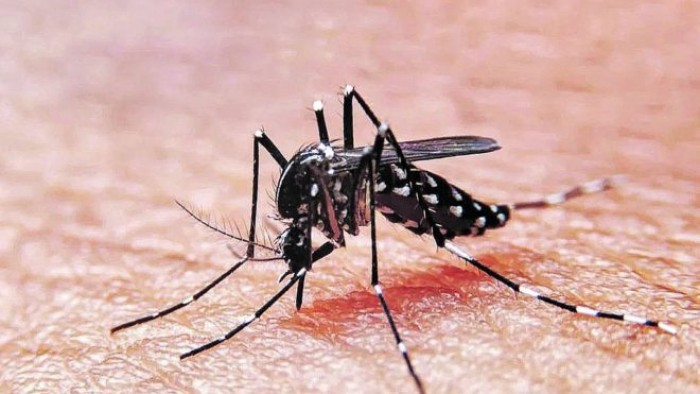 Primer caso de dengue serotipo 4 en Argentina: fue detectado en Córdoba