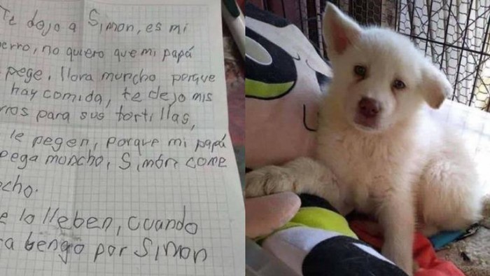 Un niño dejó a su perro por su papá le pegaba: la emotiva carta 
