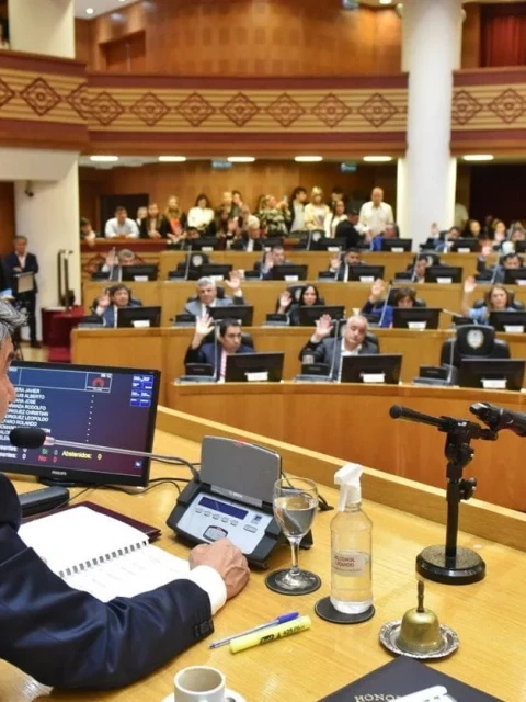 El cruce entre dos legisladores peronistas en plena sesión: "Después hablaremos" 
